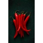 Hot Chili Pepper